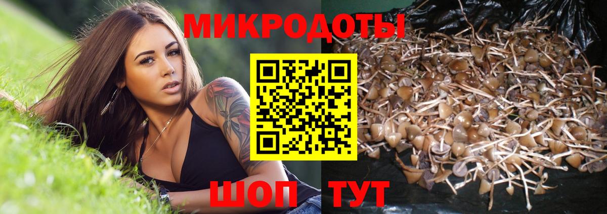 дарнет шоп  Галлюциногенные грибы мицелий  Вход с VPN  Псилоцибиновые грибы MAGIC MUSHROOMS  Уфа 
